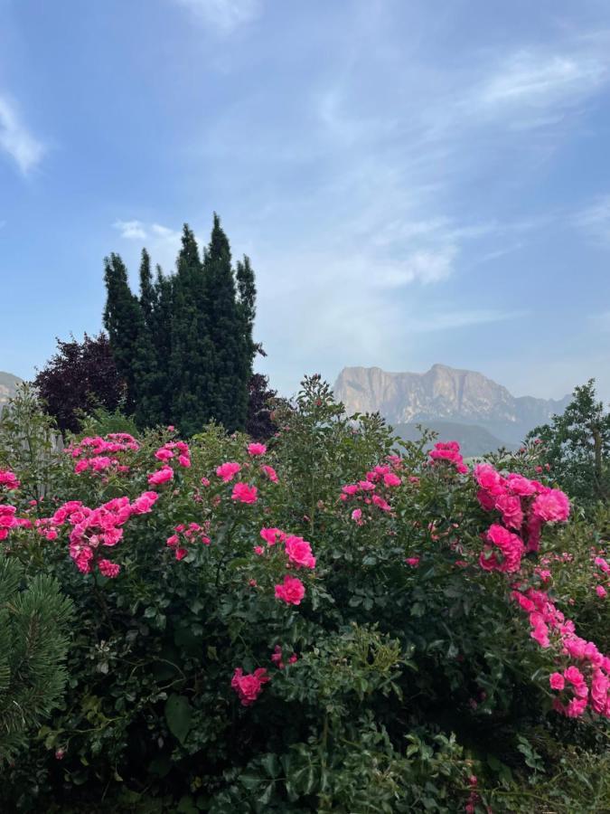Gasserhof 巴比亚诺 外观 照片
